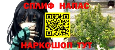 скорость Будённовск