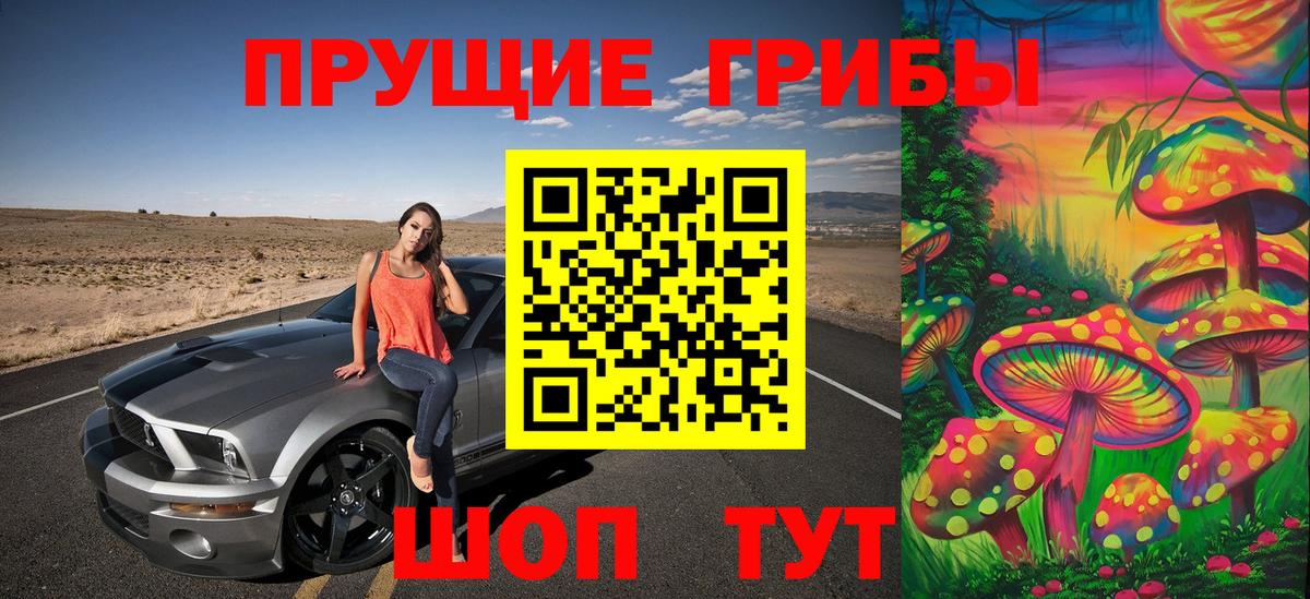 Северобайкальск  Псилоцибиновые грибы Psilocybine cubensis  Вход с VPN 