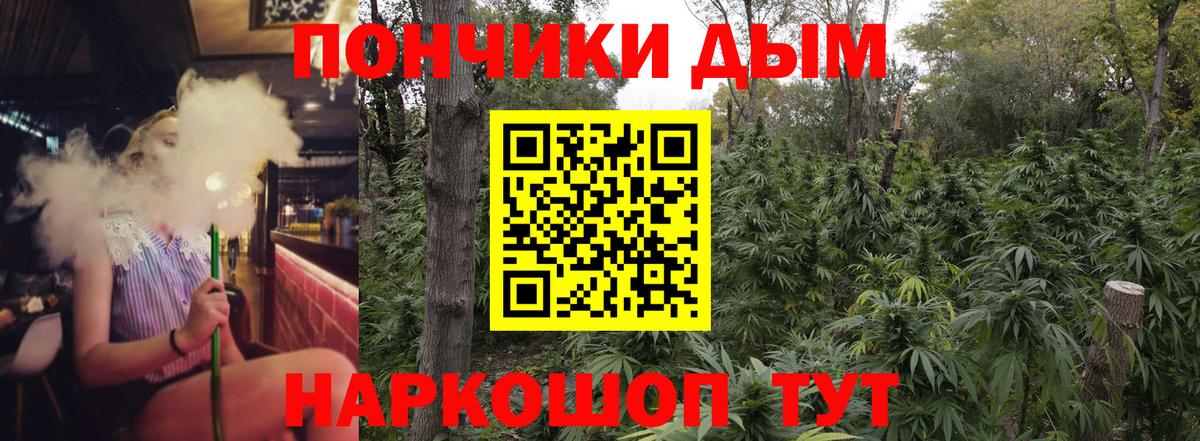 Шишки марихуана гибрид Северобайкальск